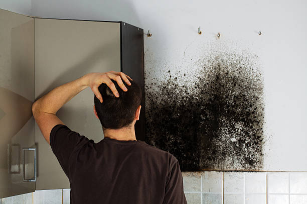 Best Residential Mold Removal  in Encantada Ranchito El Calaboz, TX
